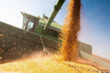 На Украине оценили потери при экспорте сельхозпродукции